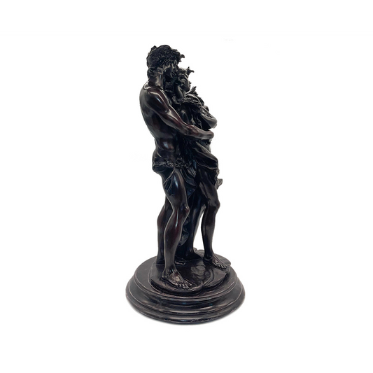 PlatinumShield-X Coating Spray & Foam Cleaner Combo