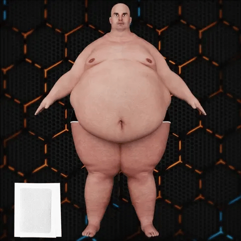 Bee Venom Foot Detox Patches (10 Patches,10 Free )